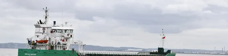 ARKLOW FREEDOM Container Ship IMO 9361756