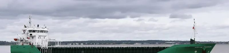 ARKLOW FREEDOM Container Ship IMO 9361756 photo 2