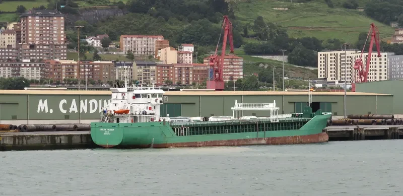 ARKLOW FREEDOM Container Ship IMO 9361756 photo 9