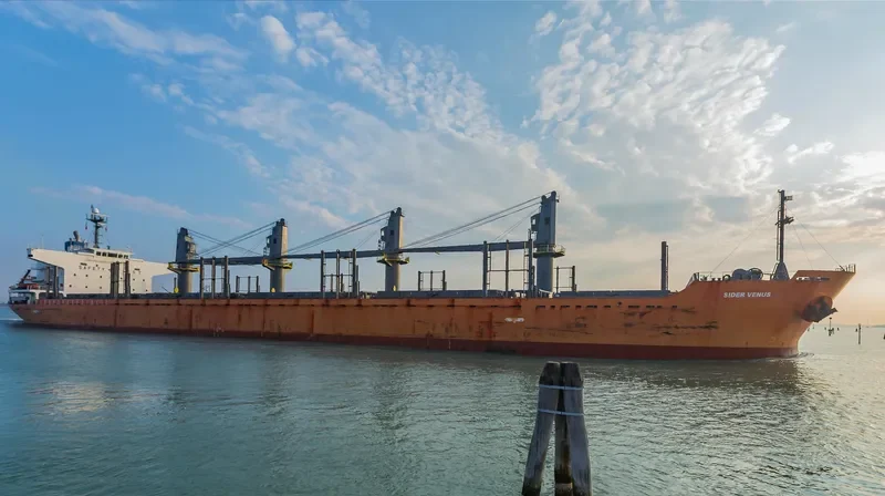 MOUNT TARANAKI Bulk Carrier IMO 9361782