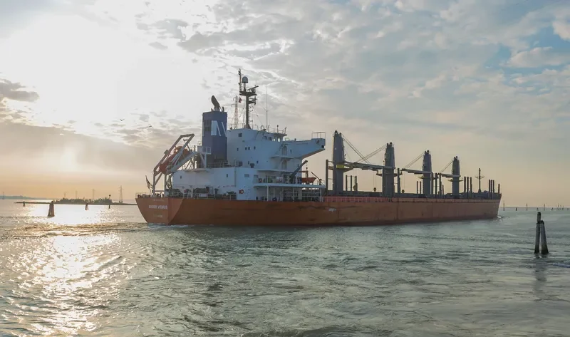 MOUNT TARANAKI Bulk Carrier IMO 9361782 photo 2