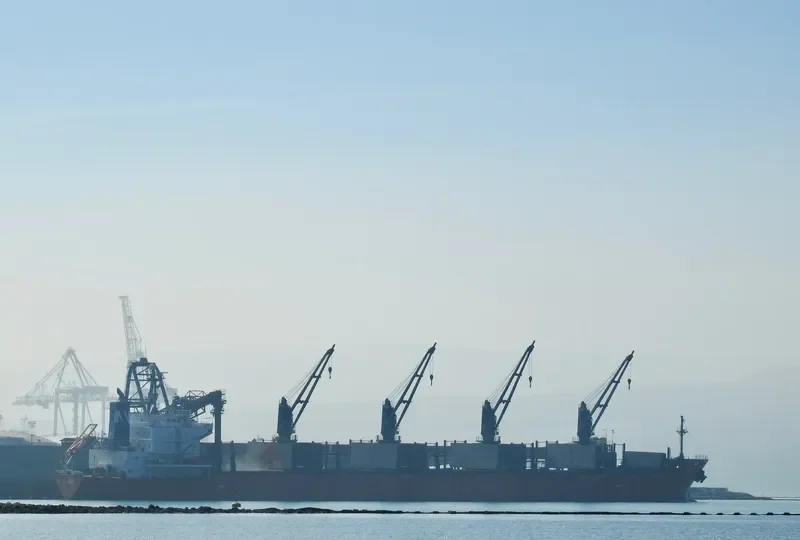 MOUNT TARANAKI Bulk Carrier IMO 9361782 photo 3