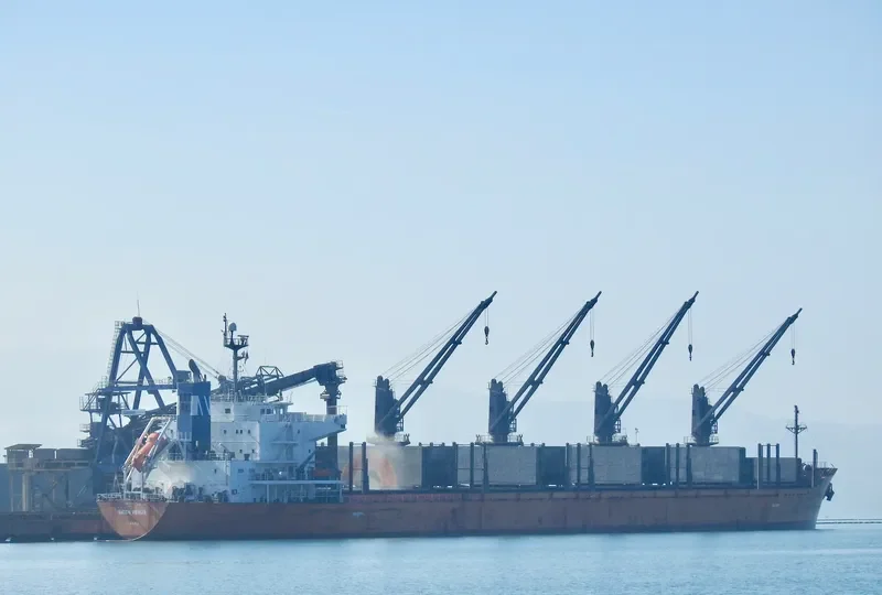 MOUNT TARANAKI Bulk Carrier IMO 9361782 photo 4
