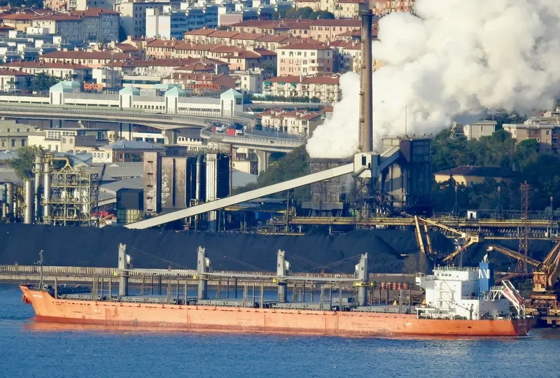 MOUNT TARANAKI Bulk Carrier IMO 9361782 photo 5