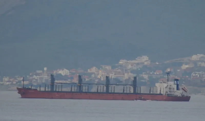 MOUNT TARANAKI Bulk Carrier IMO 9361782 photo 6