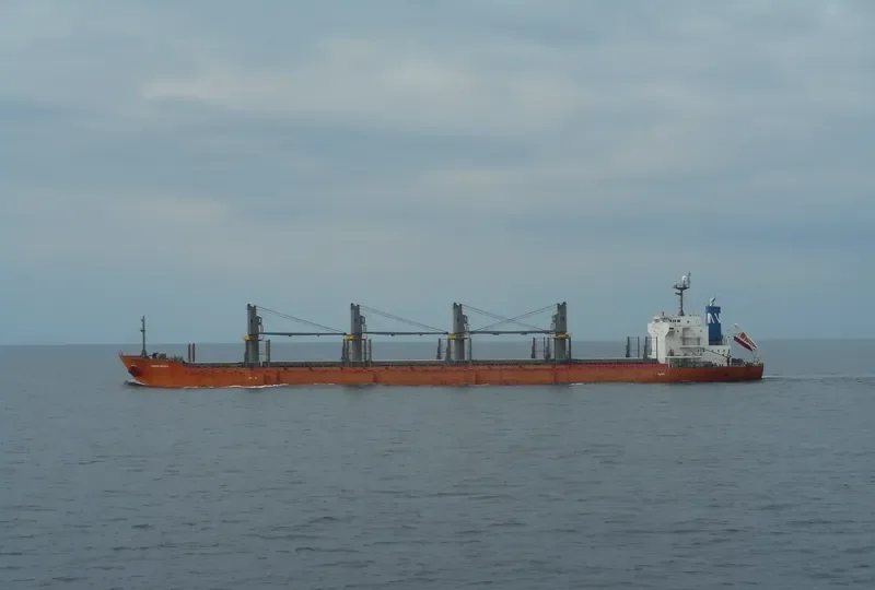 MOUNT TARANAKI Bulk Carrier IMO 9361782 photo 7