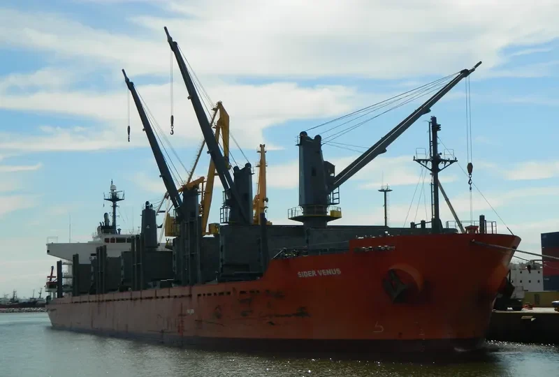MOUNT TARANAKI Bulk Carrier IMO 9361782 photo 8