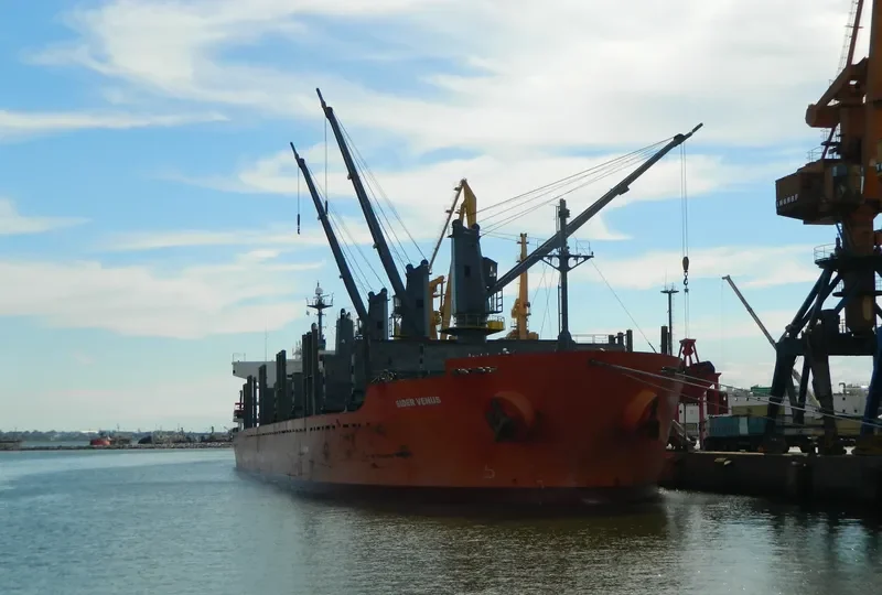 MOUNT TARANAKI Bulk Carrier IMO 9361782 photo 9