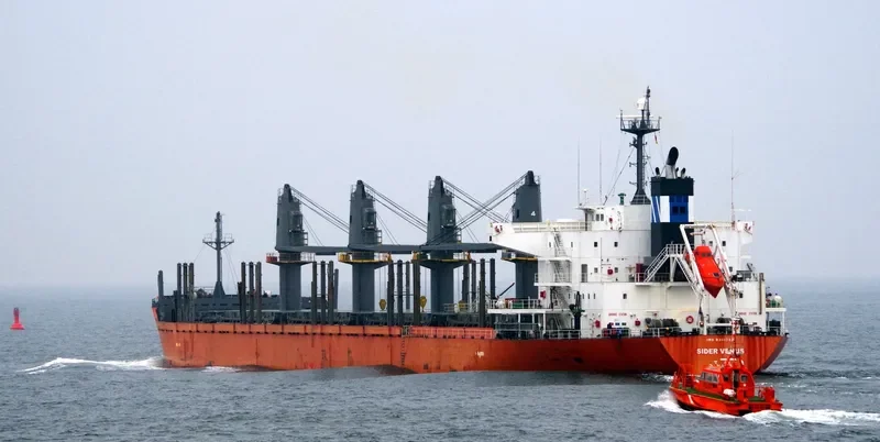 MOUNT TARANAKI Bulk Carrier IMO 9361782 photo 10