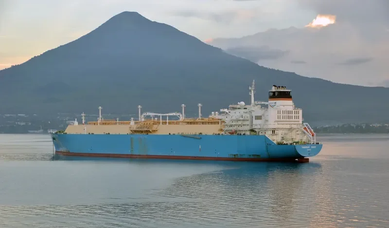 TANGGUH SAGO General Cargo IMO 9361990 photo 4