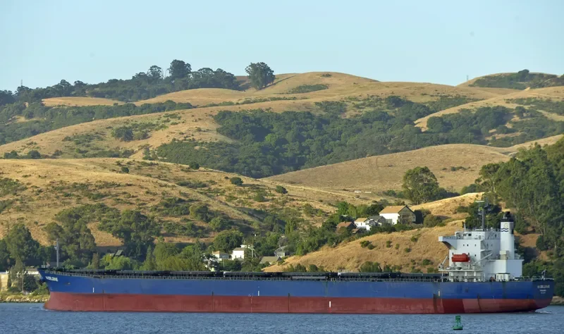 BULK XAYMACA Bulk Carrier IMO 9362190 photo 2