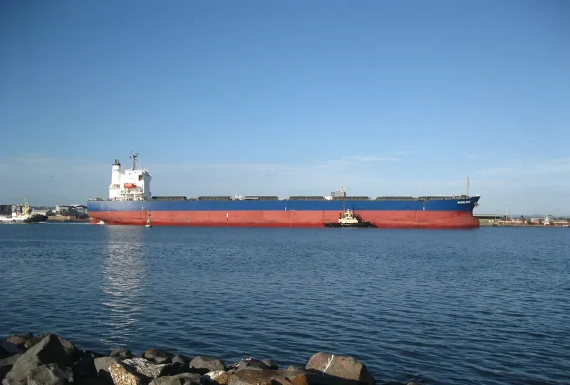 BULK XAYMACA Bulk Carrier IMO 9362190 photo 4