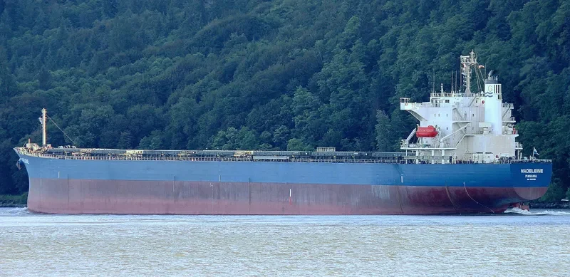 BULK XAYMACA Bulk Carrier IMO 9362190 photo 6