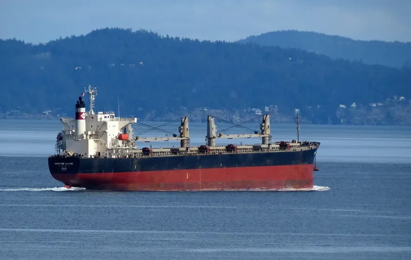 AKIJ GLORY Bulk Carrier IMO 9362205 photo 7