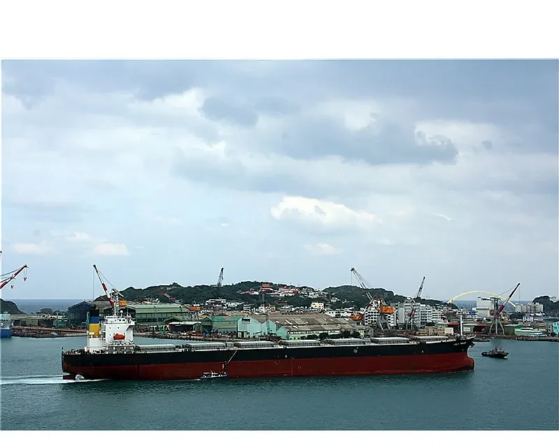 OCEAN TRADER I Bulk Carrier IMO 9362217
