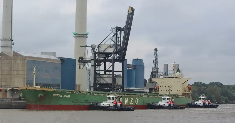 NEW EMPEROR Bulk Carrier IMO 9362229 photo 6