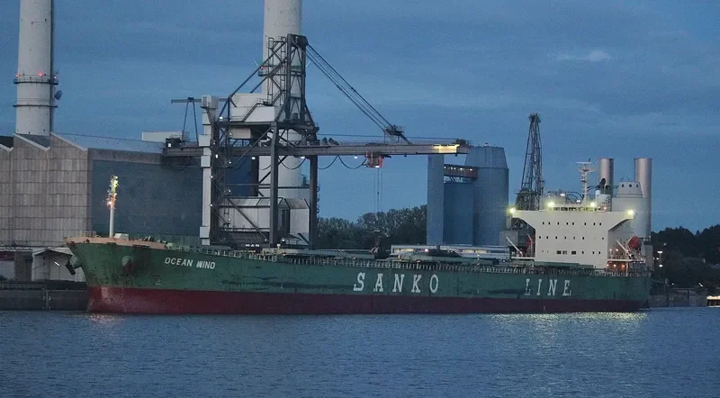NEW EMPEROR Bulk Carrier IMO 9362229 photo 7