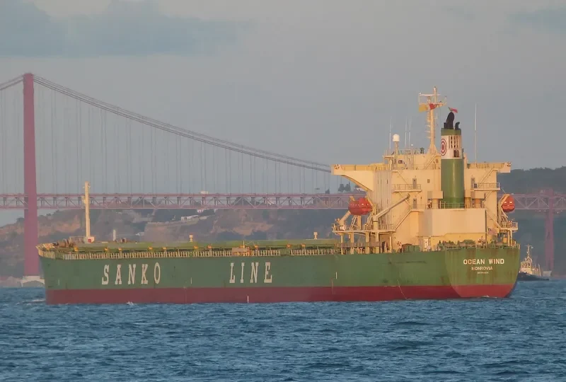 NEW EMPEROR Bulk Carrier IMO 9362229 photo 10