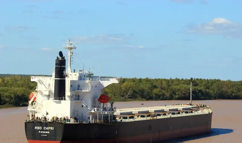 STC SENTOSA Bulk Carrier IMO 9362255