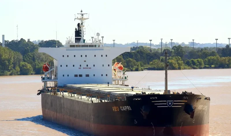 STC SENTOSA Bulk Carrier IMO 9362255 photo 4