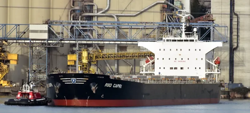 STC SENTOSA Bulk Carrier IMO 9362255 photo 5