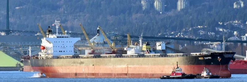 STC SENTOSA Bulk Carrier IMO 9362255 photo 7