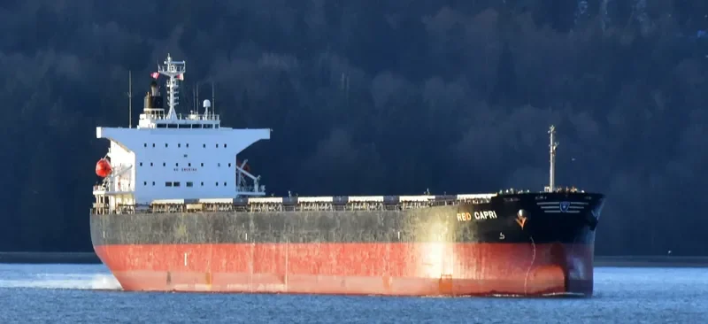 STC SENTOSA Bulk Carrier IMO 9362255 photo 8
