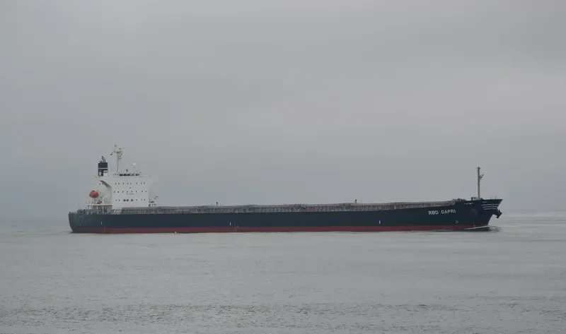 STC SENTOSA Bulk Carrier IMO 9362255 photo 10