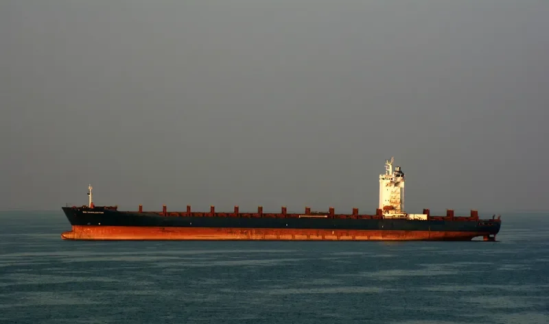 RIO CHARLESTON Container Ship IMO 9362449 photo 2