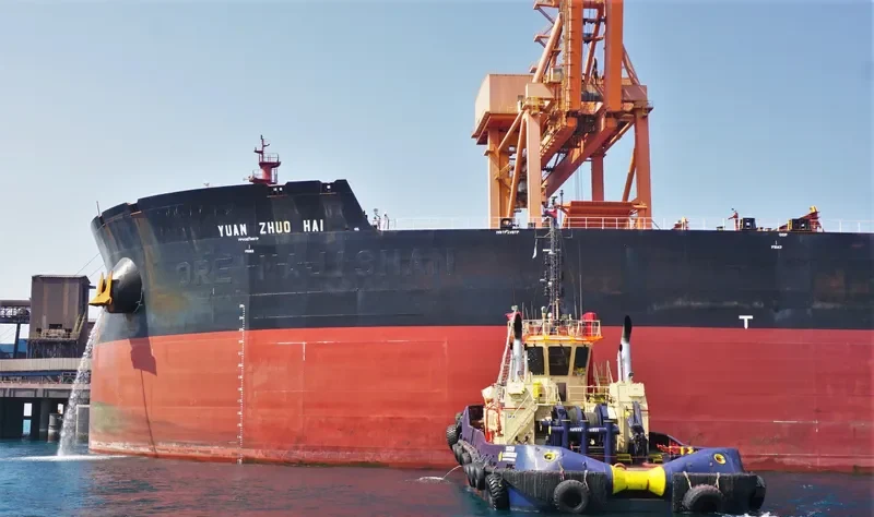 SVITZER NAMPULA General Cargo IMO 9362528 photo 2