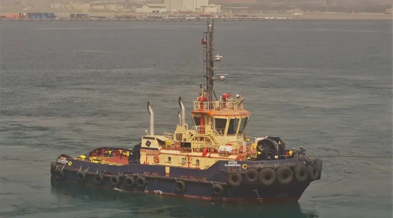 SVITZER NAMPULA General Cargo IMO 9362528 photo 10