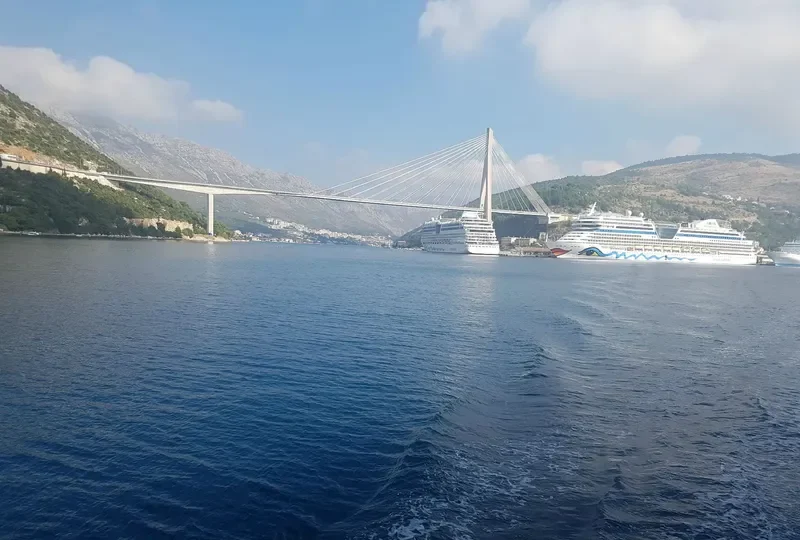 AIDABELLA Passenger Ship IMO 9362542 photo 7