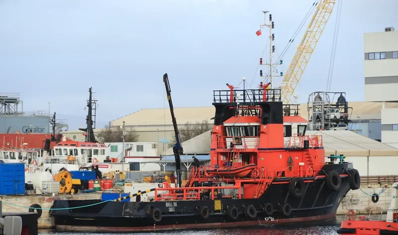 BOREAL DOS General Cargo IMO 9362803 photo 6