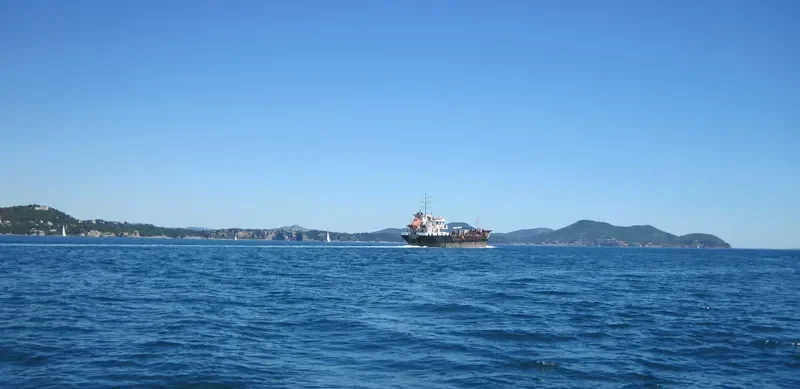 SB BOREA General Cargo IMO 9362839 photo 5