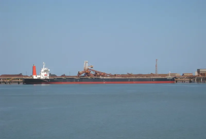 BAOSTEEL EDUCATION Bulk Carrier IMO 9362970