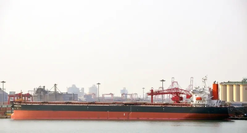 LENI Bulk Carrier IMO 9362982
