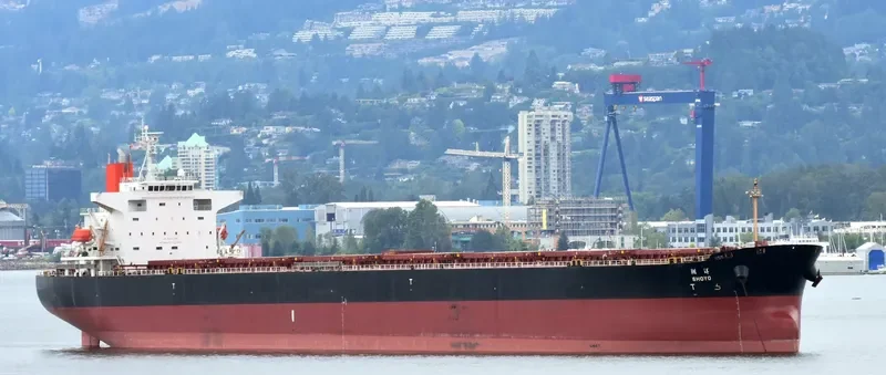 LENI Bulk Carrier IMO 9362982 photo 4