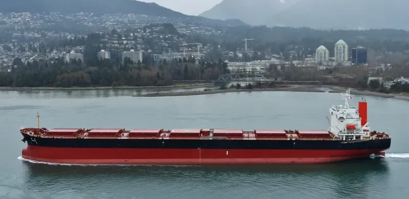 LENI Bulk Carrier IMO 9362982 photo 5