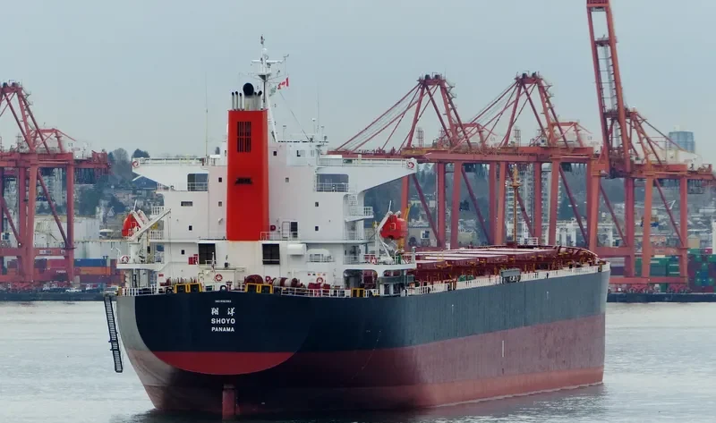 LENI Bulk Carrier IMO 9362982 photo 6