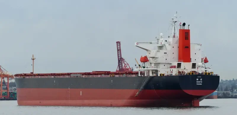 LENI Bulk Carrier IMO 9362982 photo 7