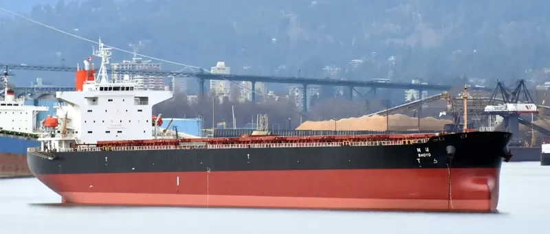 LENI Bulk Carrier IMO 9362982 photo 9