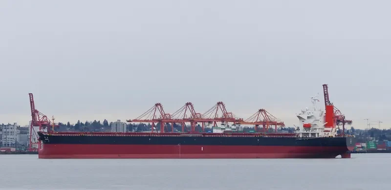 LENI Bulk Carrier IMO 9362982 photo 10