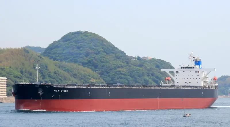 SMYRNA Bulk Carrier IMO 9363003 photo 4