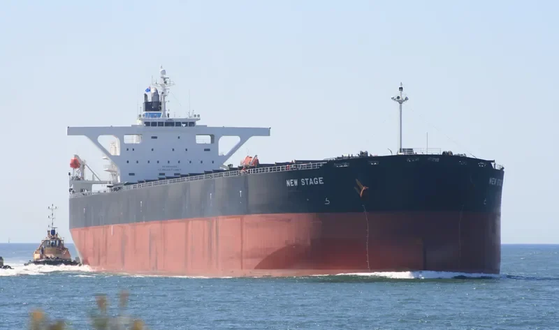 SMYRNA Bulk Carrier IMO 9363003 photo 7