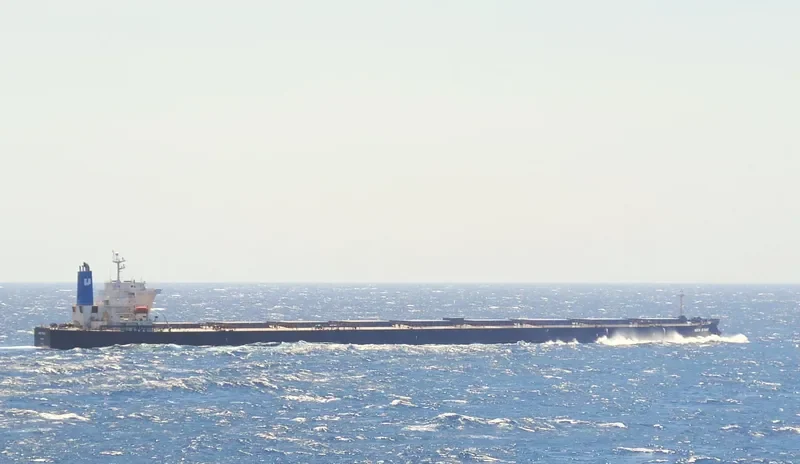 SMYRNA Bulk Carrier IMO 9363003 photo 8