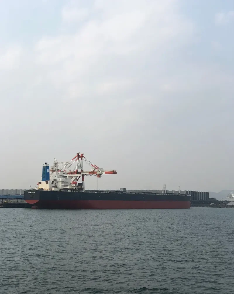 SMYRNA Bulk Carrier IMO 9363003 photo 9