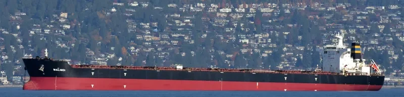 MALINDI Bulk Carrier IMO 9363015