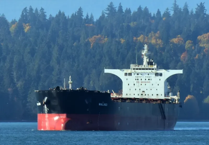 MALINDI Bulk Carrier IMO 9363015 photo 4