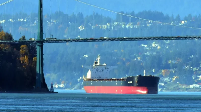 MALINDI Bulk Carrier IMO 9363015 photo 5