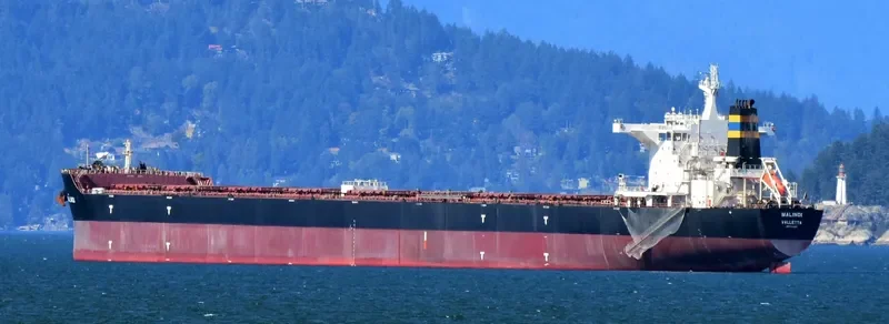 MALINDI Bulk Carrier IMO 9363015 photo 8